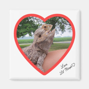 Square Lizard Love Magnet