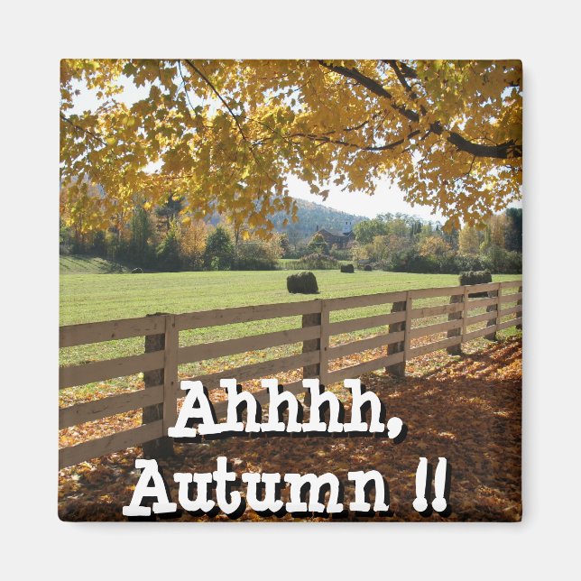 Square Magnet (Front)