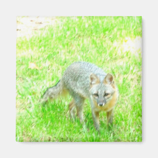 Square Magnet - Customized