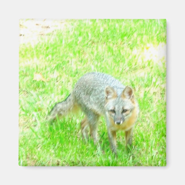 Square Magnet - Customized (Front)