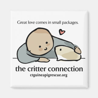 Square magnet with color logo and website