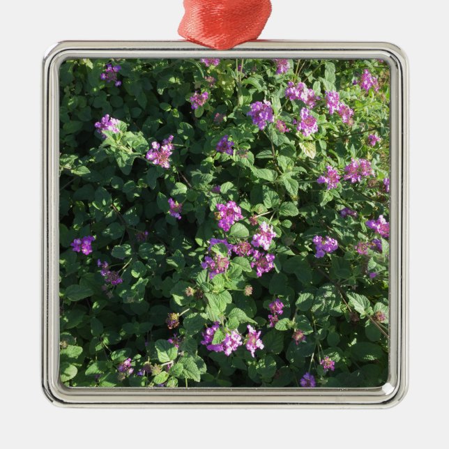 Square Ornament (Front)