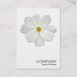 Square Photo 0161 - White Cosmos Flower Business Card