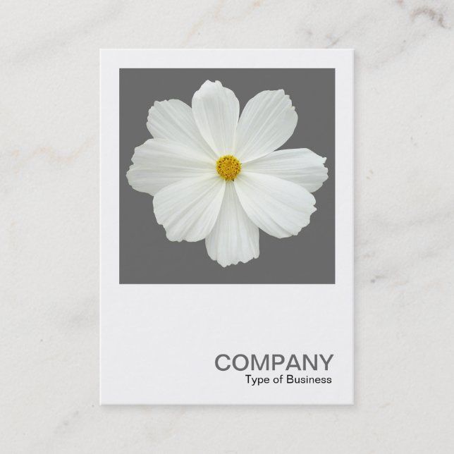 Square Photo 0162 - Cosmos Flower on Gray Business Card (Front)