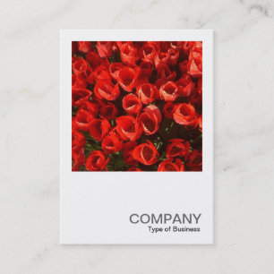 Square Photo 01 - Tulips Business Card