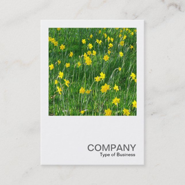Square Photo 0201 - Daffodils/Narcissus Business Card (Front)