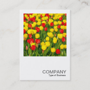 Square Photo 0219 - Tulips Business Card