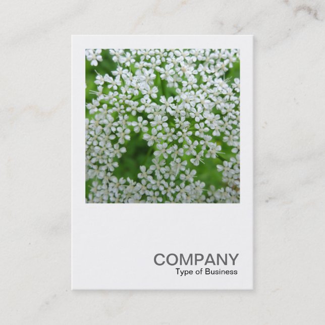 Square Photo 0232 - Cow Parsley Business Card (Front)