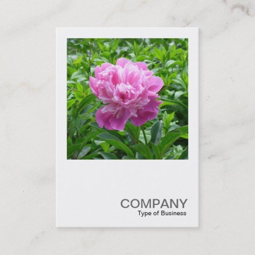 Square Photo 0234 _ Pink Peony Business Card