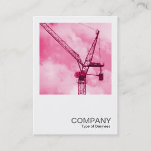 Square Photo 0246 - Pink Crane Business Card