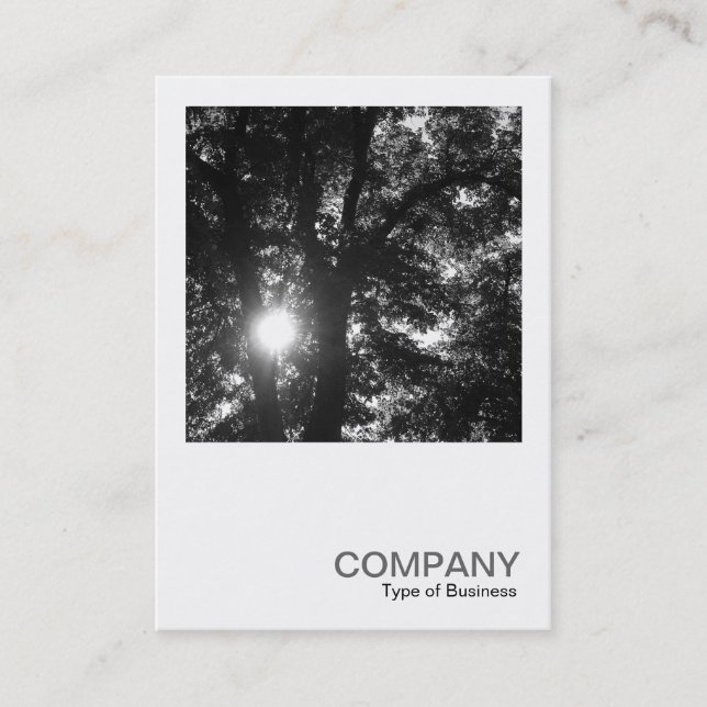 Square Photo 0255 - Sun Through Trees B&W Business Card (Front)