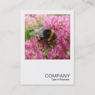 Square Photo 0342 - Bumble Bee on Sedum Business Card