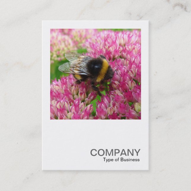 Square Photo 0342 - Bumble Bee on Sedum Business Card (Front)