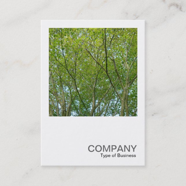 Square Photo 0348 - Japanese Maple Business Card (Front)