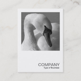 Square Photo 0350 - Swan B&W Business Card