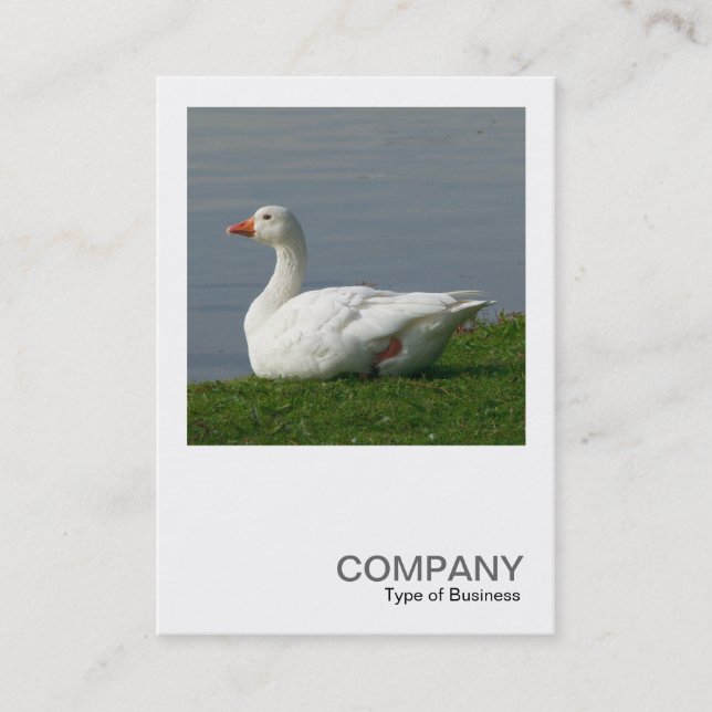 Square Photo 0350 - White Goose Business Card (Front)