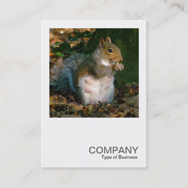 Square Photo 0356 - Grey Squirrel Business Card (Front)