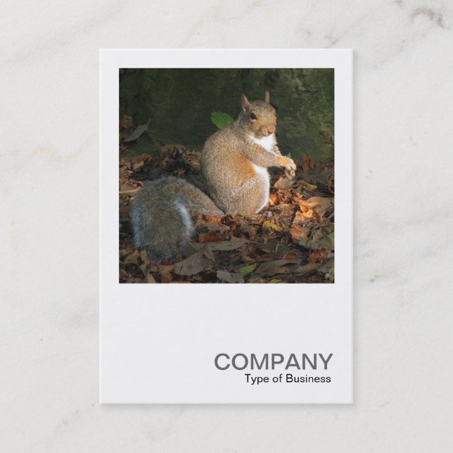 Square Photo 0364 - Grey Squirrel Business Card (Front)