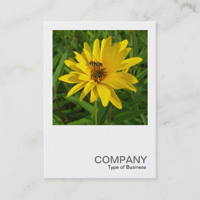 Square Photo 0365 - Hover Fly on a Yellow Chrysant Business Card (Front)