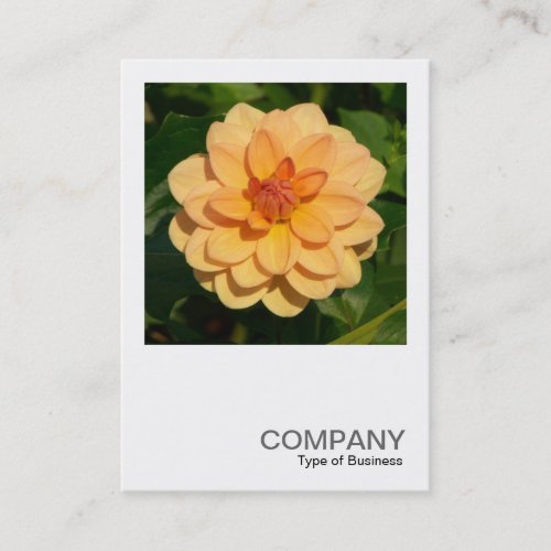 Square Photo 0373 _ Dahlia David Howard Business Card