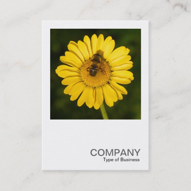Square Photo 0374 - Yellow Daisy and Bee Business Card (Front)