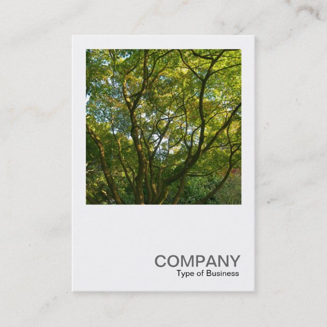 Square Photo 0376 - Japanese Branches Business Card (Front)