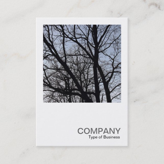 Square Photo 0382 - Silhouetted Branches Business Card (Front)