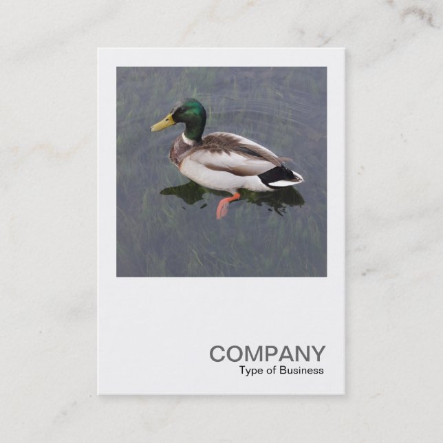 Square Photo 0389 - Mallard Duck Business Card (Front)