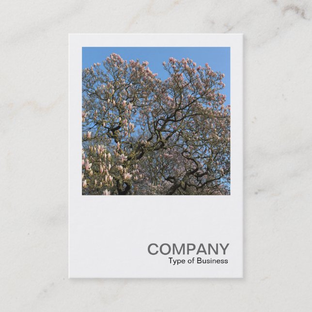 Square Photo 0390 - Magnolia Trees in Blossom Business Card (Front)