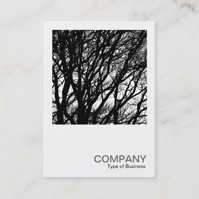 Square Photo 0392 - Winter Branches HC Business Card (Front)