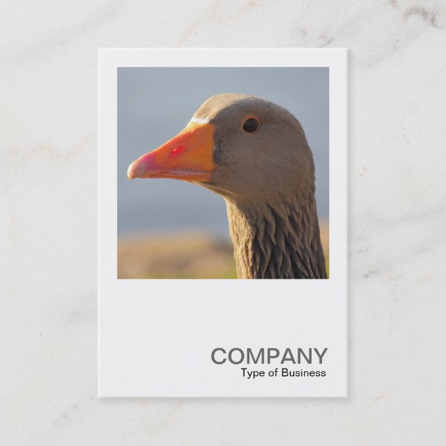 Square Photo 0393 - Inquisitive Goose Business Card (Front)