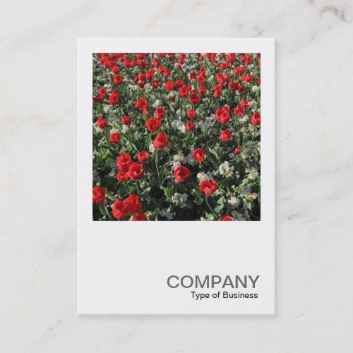 Square Photo 0399 _ Red Tulips and Primroses Business Card