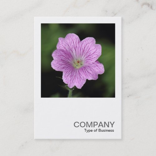 Square Photo 0406 _ Geranium Endressii Business Card