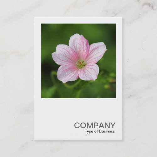 Square Photo 0419 _ Geranium Business Card