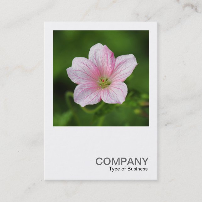 Square Photo 0419 - Geranium Business Card (Front)