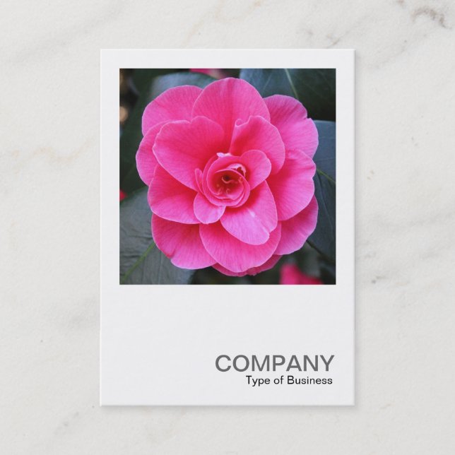 Square Photo 0429 - Pink Camellia Business Card (Front)