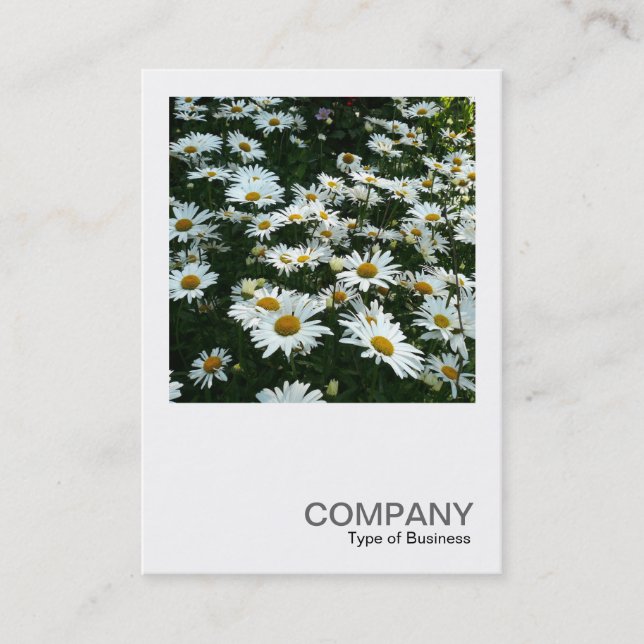 Square Photo 042 - Daisies Business Card (Front)