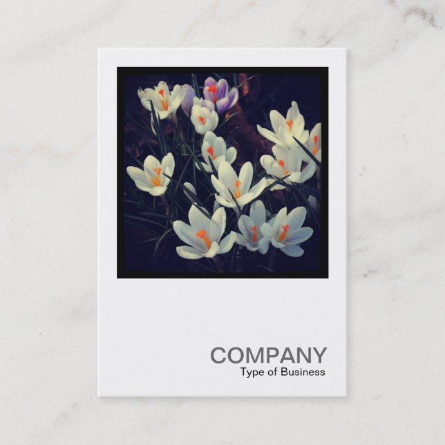 Square Photo 0432 - Crocuses Business Card (Front)