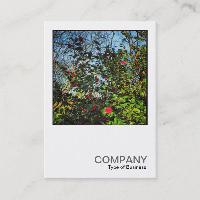 Square Photo 0437 - Camellia Bush Business Card (Front)
