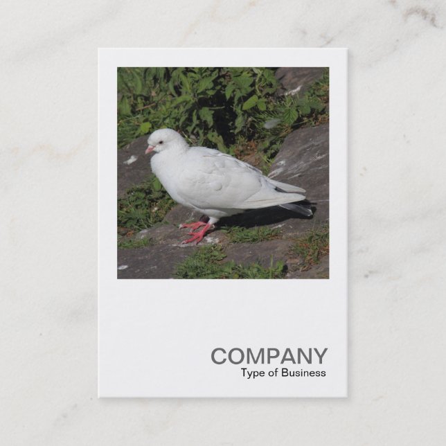 Square Photo 0452 - White Pigeon Business Card (Front)