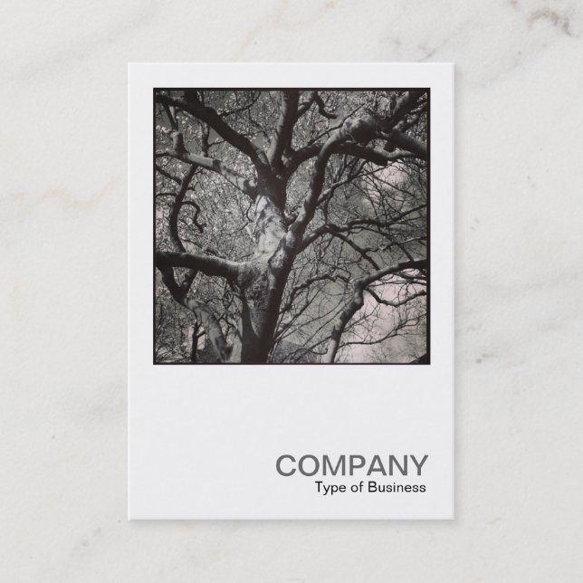 Square Photo 0458 - Magnolia Tree Business Card (Front)