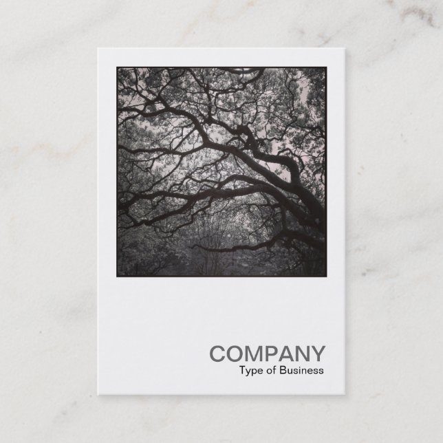 Square Photo 0462 - Magnolia Tree in Blossom 01 Business Card (Front)