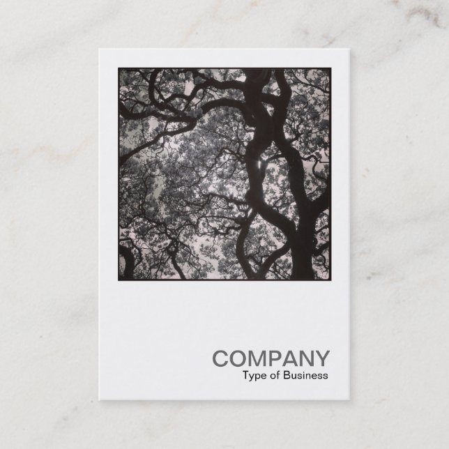 Square Photo 0463 - Magnolia Tree in Blossom Business Card (Front)