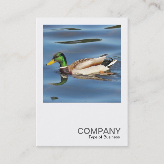 Square Photo 0475 - Mallard Duck Business Card (Front)