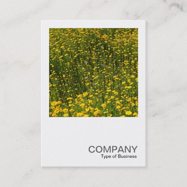 Square Photo 0480 - Bed of Yellow Daisies Business Card (Front)