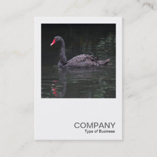 Square Photo 0483 - Black Swan Business Card