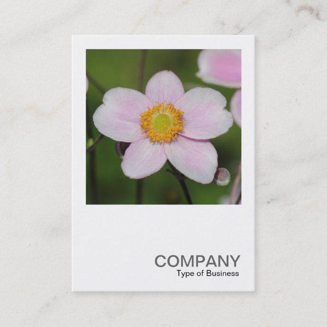 Square Photo 0489 - Pink Anemone Business Card (Front)