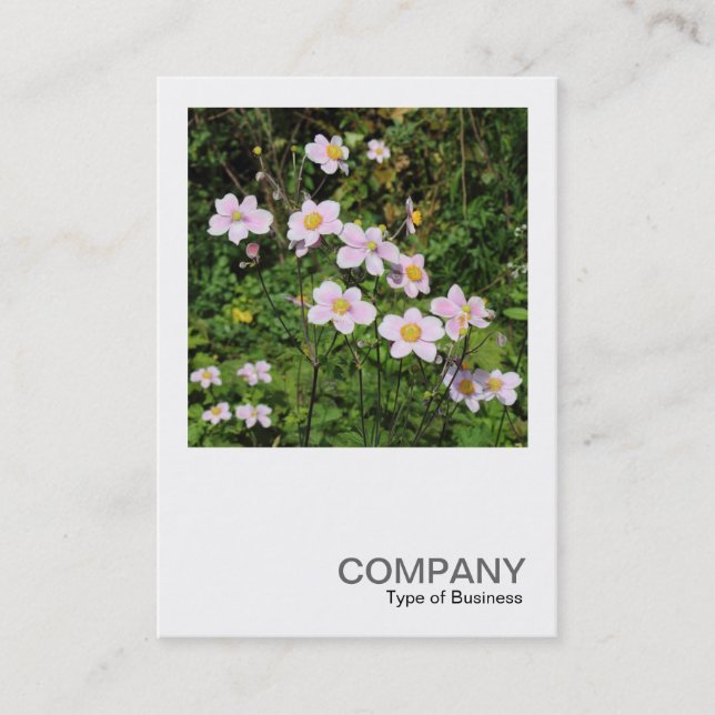 Square Photo 0490 - Pink Anemones Business Card (Front)