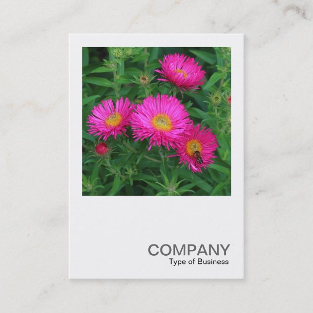 Square Photo 0493 - Michaelmas Daisies 02 Business Card (Front)