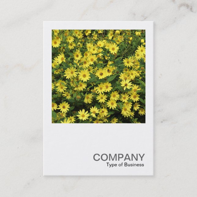 Square Photo 0508 - Yellow Daisies Business Card (Front)